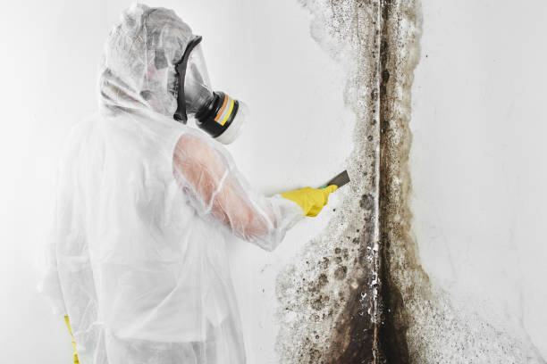 Best Crawl Space Mold Removal  in Sunflower, MS