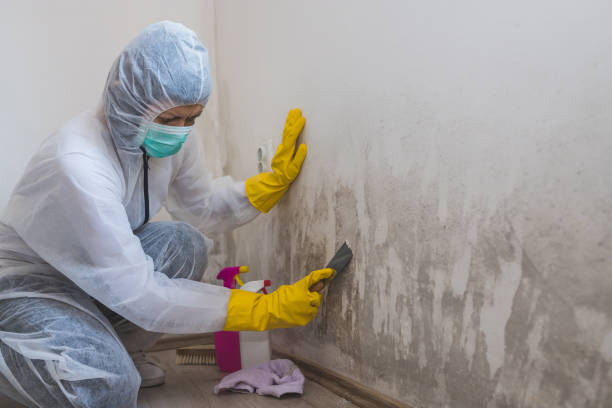 Water Damage Restoration in Sunflower, MS