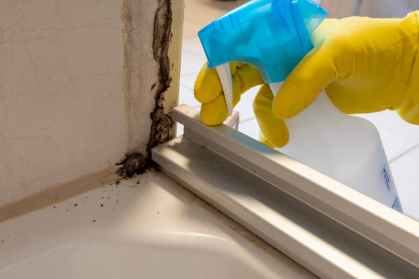 Best Mold Testing  in Sunflower, MS