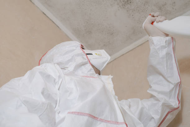 Best Mold Removal Company Near Me  in Sunflower, MS
