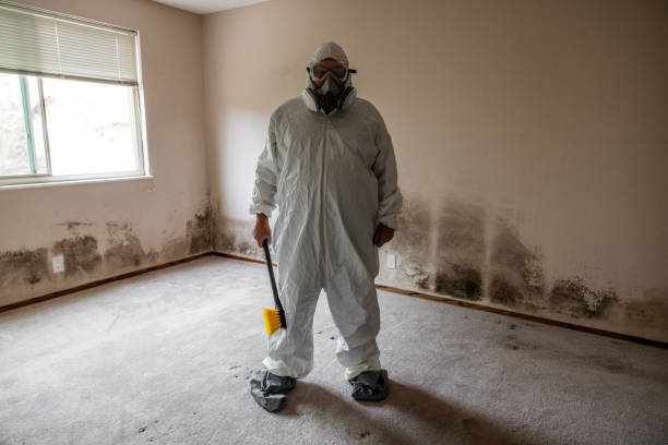 Best Mold Testing  in Sunflower, MS